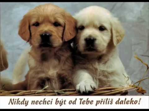 Z PEKLA ŠTĚSTÍ