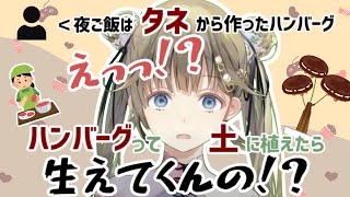リスナーのスパチャに全力ボケをかます英リサ【英(はなぶさ)リサ/ぶいすぽっ!】