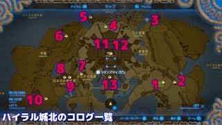 【ゼルダの伝説】ハイラル城(北) コログの場所