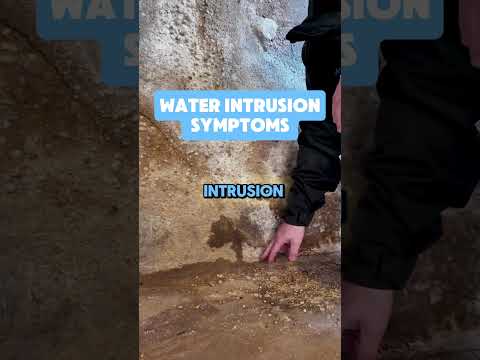 Basement Leaks? Stop Water Intrusion Before It Gets Worse! 💧🚨