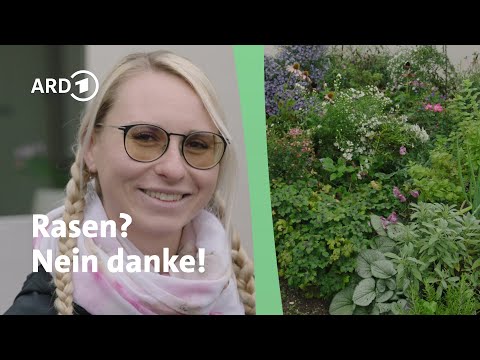 Pflegeleichte Gartengestaltung ohne Rasen: Tipps & Ideen │ Querbeet