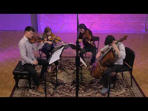 Schubert Quartettsatz D 703