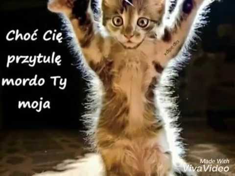 Polska Wersja To już nie to jest  (FEAT. KAFAR DIXON37, DJ SPLIFF