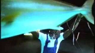 Gouden Gids reclame (Haai) uit de jaren 90 (Nederlands)