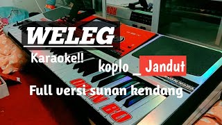 Download lagu Weleg - karaoke catur arum|| versi Ska koplo jandut Sunan kendang mp3