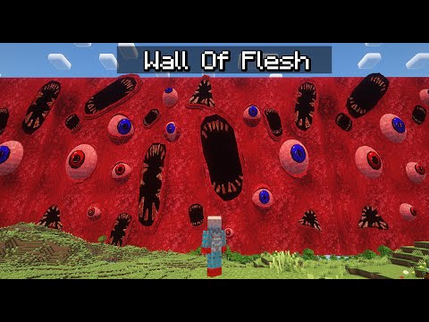 I Made The Wall Of Flesh In Minecraft