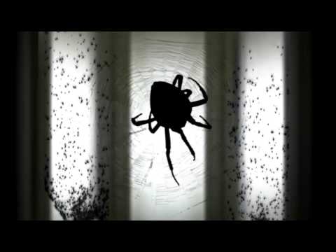 Halloween Spider Bay Window Projection