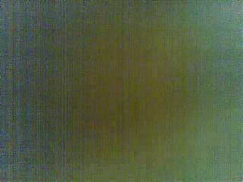 Cães de Loiça - Rouxinol Faduncho