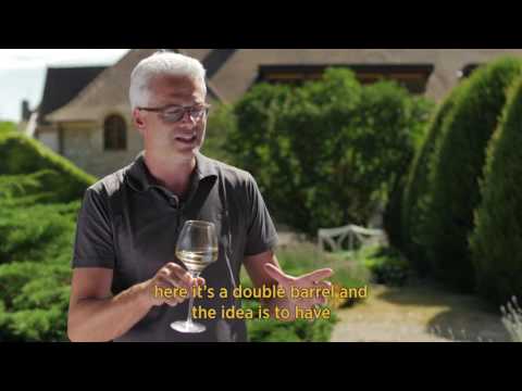download lagu mp3 mp4 Bourgogne Chardonnay Les Ursulines, download lagu Bourgogne Chardonnay Les Ursulines gratis, unduh video klip Bourgogne Chardonnay Les Ursulines