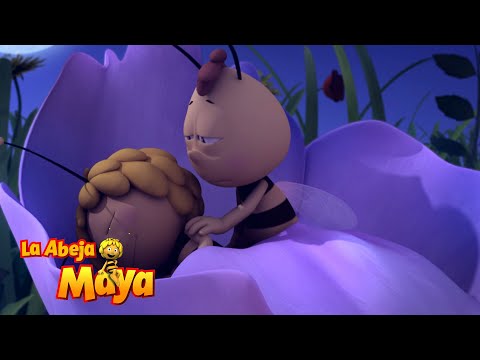 Willy Se Muda 🚚🐝 - Capítulos completos - La Abeja Maya