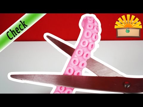 KRAKEN GLIBBER ZERSCHNEIDEN - Wie sieht der TINTENFISCH von INNEN aus ? KINDER EXPERIMENT