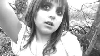 Matt Skiba and the Sekrets - Voices (Fan Made Video)