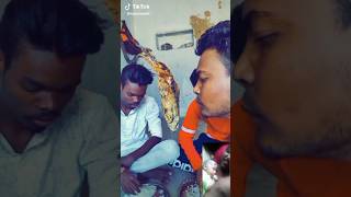 funny video ? || #funnyvideo #shorts #short