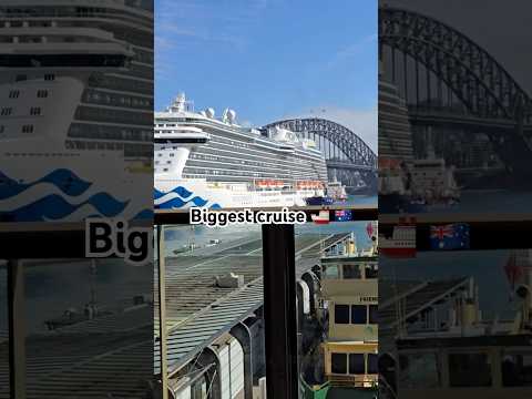Thumbnail for Australia's Biggest Cruise just arrived at Sydney harbour | #cruise #sydney #harbourbridge #travel