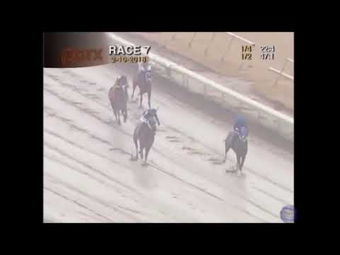 Dixie Serenade PARX Feb 10