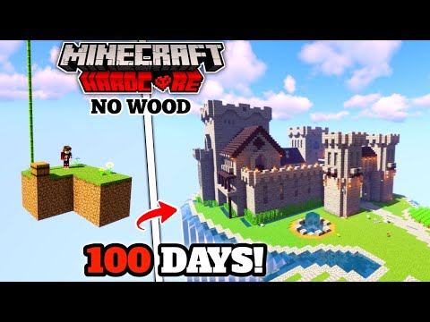 I Survived 100 Days on Skyblock Without Wood in Minecraft hardcore