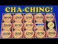 JACKPOT BABY CRAZY BONUS ON AUTUMN MOON DRAGON LINK SLOT