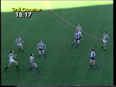 VFL Football Flashbacks : 1989 North Melbourne vs Collingwood VFL Park