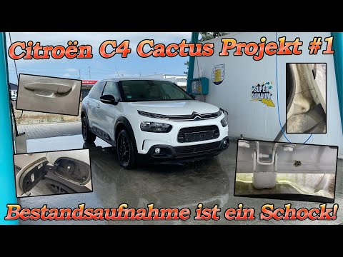 5 Jahre keine Wäsche! Citroën C4 Cactus Komplett-Aufbereitung Guide Teil 1 - Bestandsaufnahme