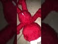 Tiger Finds Elmo