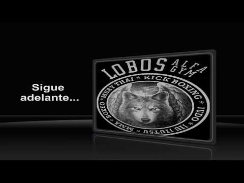 Combate de Benjamín (Muay Thai - Kick Boxing) Lobos Alfa Gym