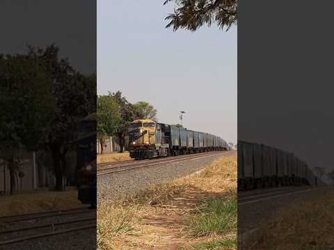 Desafio da Reta de Ibaté Trem de Açúcar da MRS entre subidas e descidas!