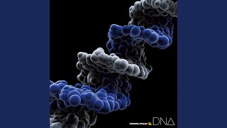 Free to Fly (8th AL DNA)