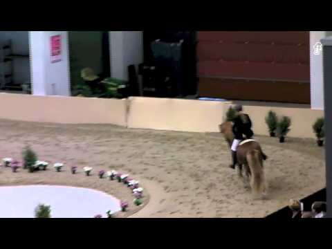 WorldTölt 2013 - V1 - Frauke & Tígull - isibless