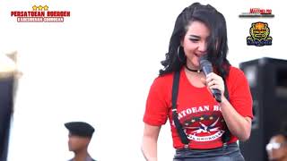 Download lagu KARNA SU SAYANG - NEW PALLAPA LIVE PURWODADI 6 JANUARI 2019 mp3