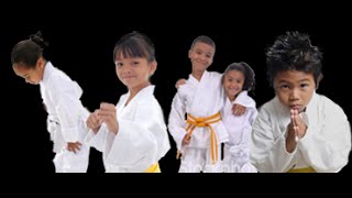 preview picture of video 'Kids Karate and martial arts classes Clayton NC North Carolina 7 to 9 year olds'