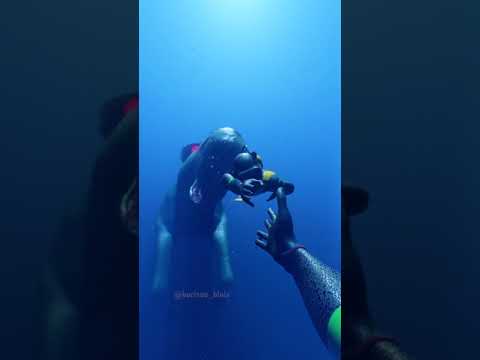 Each Uisge va a M4TARTE #Shorts