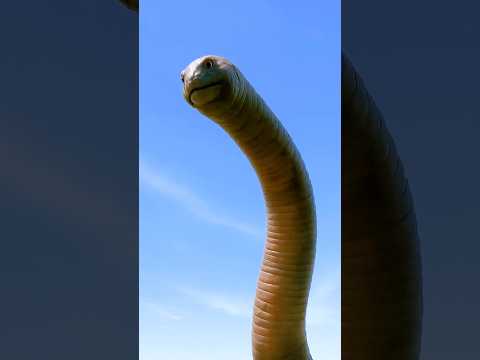 The Giant Worm!