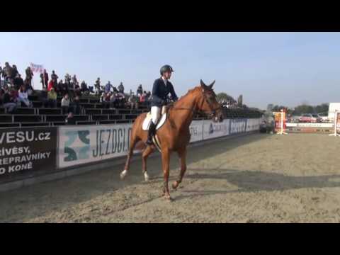 Dekorování – Amateur Tour: Finále ČSP 2016 v Olomouci objektivem EquiTV