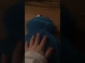 Tickle Me Cookie Monster