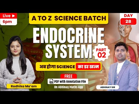 SSC Science | Endocrine System | Part-2 | A to Z Batch | Day-28 | All SSC Exams | Radhika ma'am