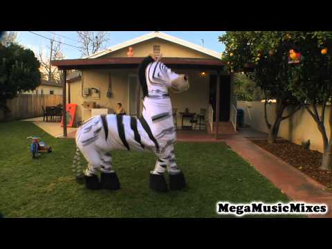 Guiles Theme Goes With Everthing - Dope Zebra