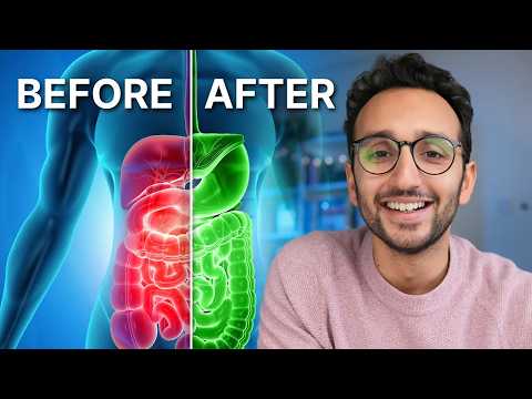 The Science of Gut Health (& Why It Matters)