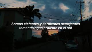 Devendra Banhart - Carmensita (Letra)