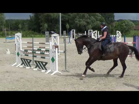 Springles 15.06.16 #Ulando