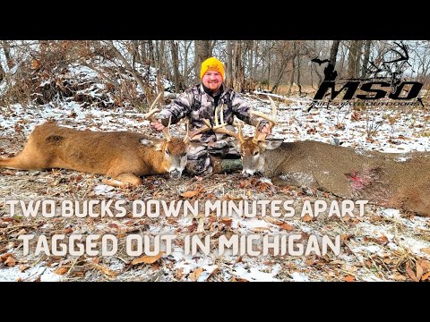 TWO BIG BUCKS DOWN WITHIN MINS ] Tagged Out ] Michigan Gun Season 2022
