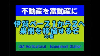 ネットで土地を買ってみた　不動産を富動産に⑫　果樹を移植してみたの巻