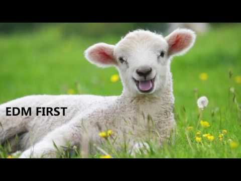 Prok|Fitch x Green Velvet - Sheeple - 2017 Clubtrack of the year?