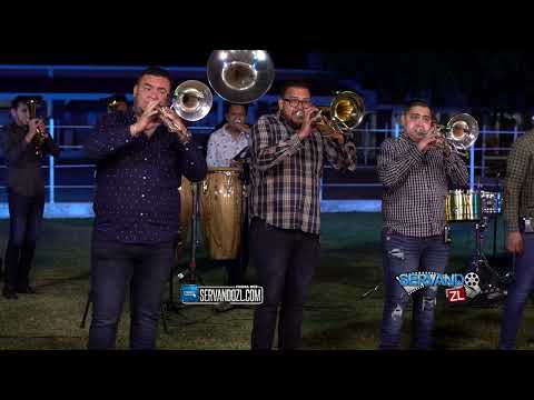 Banda Renovacion - 500 Novillos "Instrumental" (En Vivo 2023)