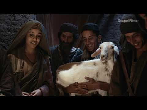 Gospel of Luke - Chapter 2 | LUMO Gospel Films