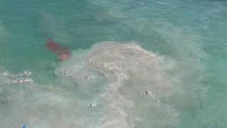 Rip Current Safety