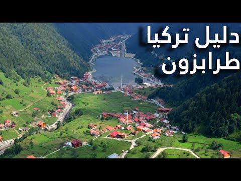 الفيديو