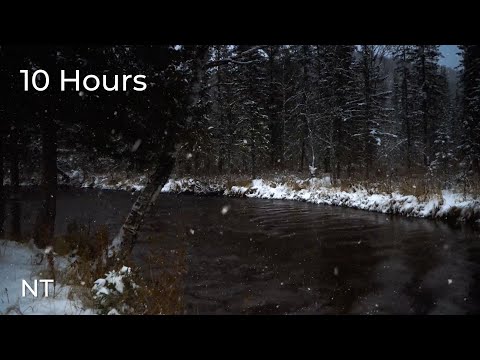 Winter River Sounds in Snowy Forest: Flowing Water & Cold Wind Sounds for Sleeping FAST: White Noise