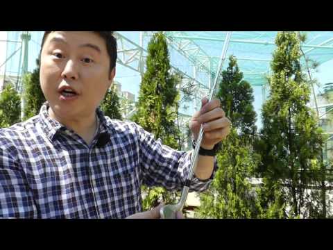 new 미즈노 T -ZOID 남자 풀세트