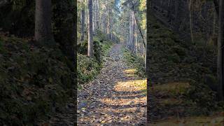 Download lagu Göljestigen hiking trails, Bäckatorp, Sweden - 2026. october mp3