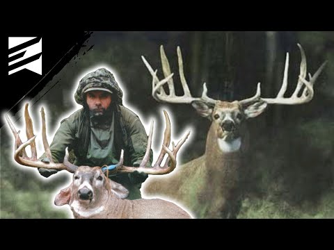 The Most Controversial "World Record" Buck? The Mitch Rompola Buck